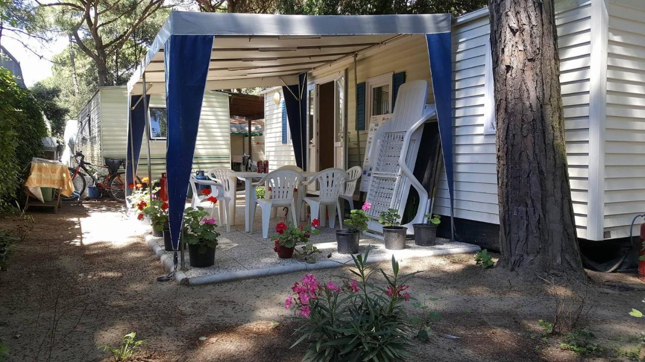 Mipro Mobilhome ليدو دي سبينا المظهر الخارجي الصورة